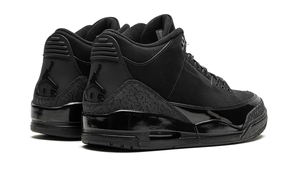 Air Jordan 3 Black Cat 2025