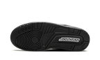 Air Jordan 3 Black Cat 2025